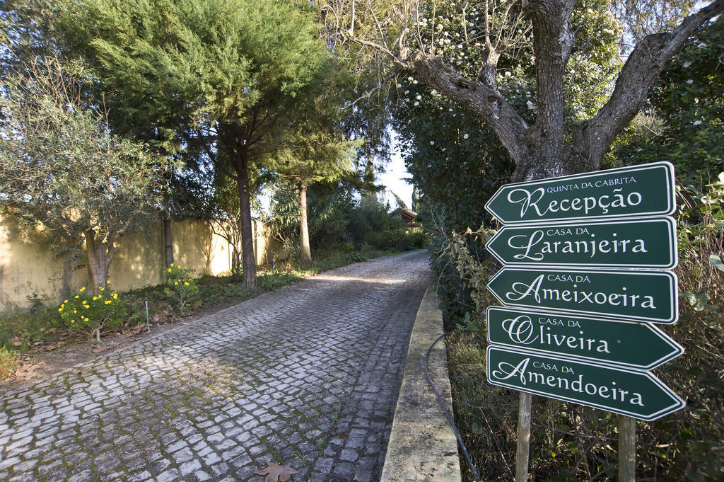 산타렘 Quinta Da Cabrita 빌라 외부 사진