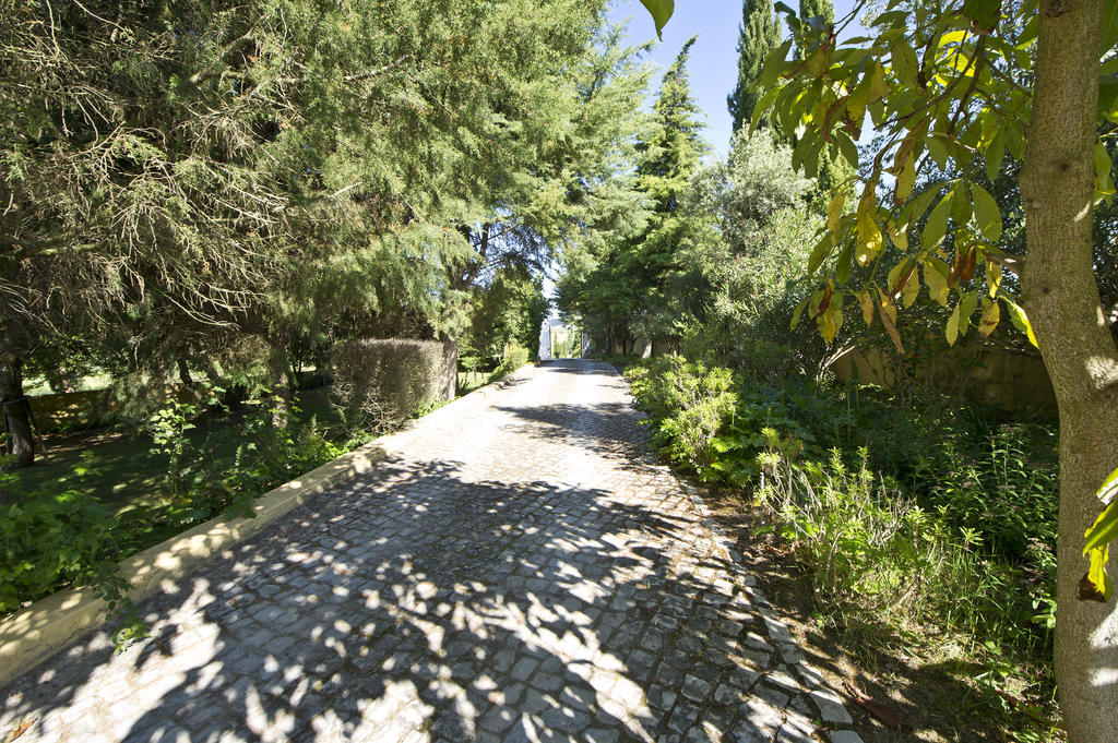 산타렘 Quinta Da Cabrita 빌라 외부 사진
